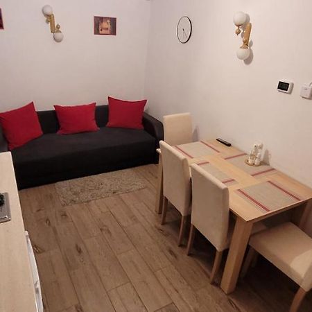 Apartament Miruna Sibiu Filarmonicii Dış mekan fotoğraf
