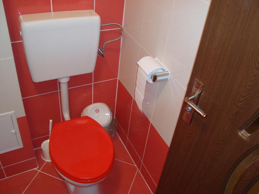 Apartament Miruna Sibiu Filarmonicii Oda fotoğraf