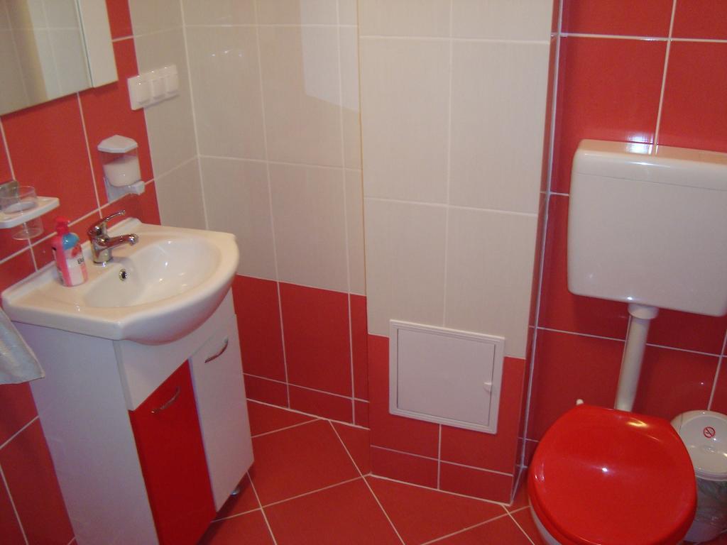 Apartament Miruna Sibiu Filarmonicii Oda fotoğraf